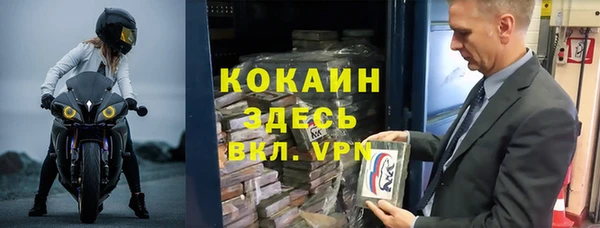 дмт Бородино