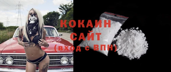 шишки Богородицк