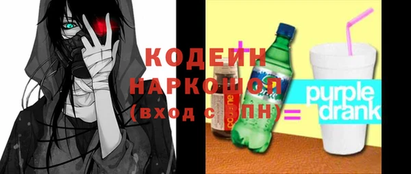 дмт Бородино