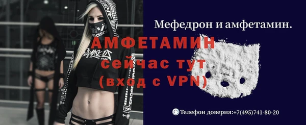 дмт Бородино