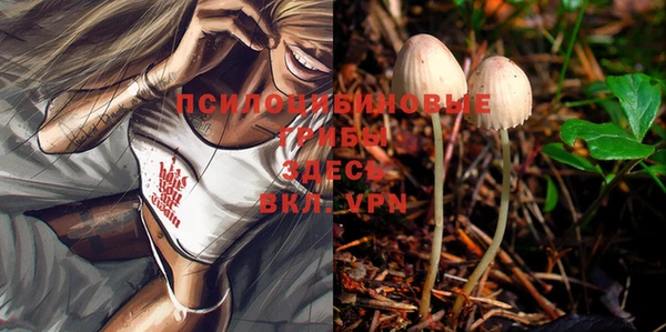 шишки Богородицк