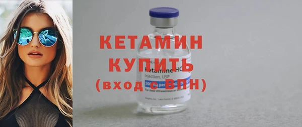 шишки Богородицк
