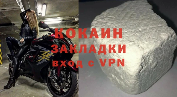 дмт Бородино