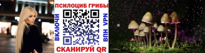 Псилоцибиновые грибы ЛСД  Купить где  Краснокаменск 