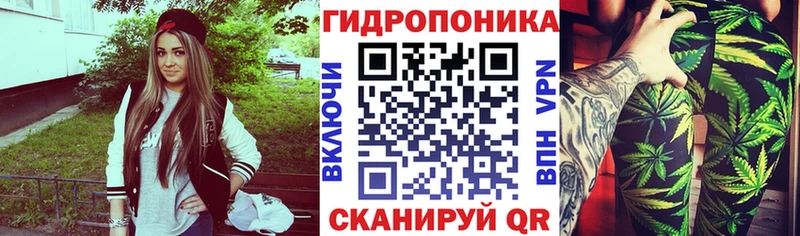 Купить закладки Краснокаменск Каннабис ГИДРОПОН
